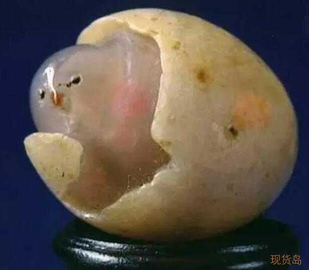 小鸡出蛋壳