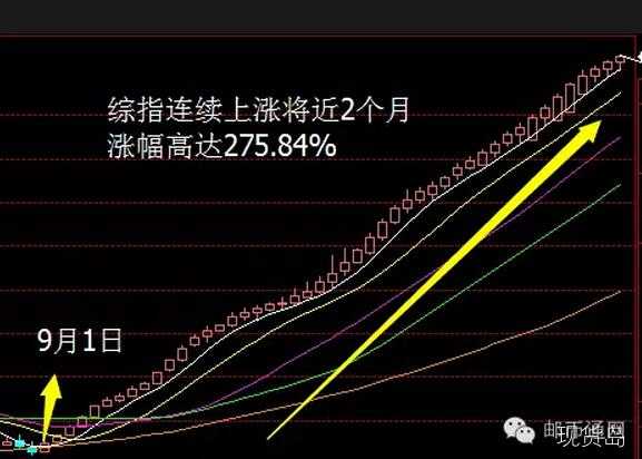 一口气连涨50个交易日 安贵邮币卡为什么这样“红”？