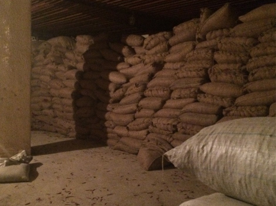 贵州指南针集中交收50吨吓子辣椒