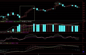 [海川新盟] 巴旦木BDM1409深度解析