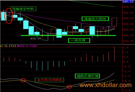 [南方大宗] 百两茶24日有望超跌反弹