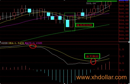 [南方大宗] 茯砖茶牛市不言顶