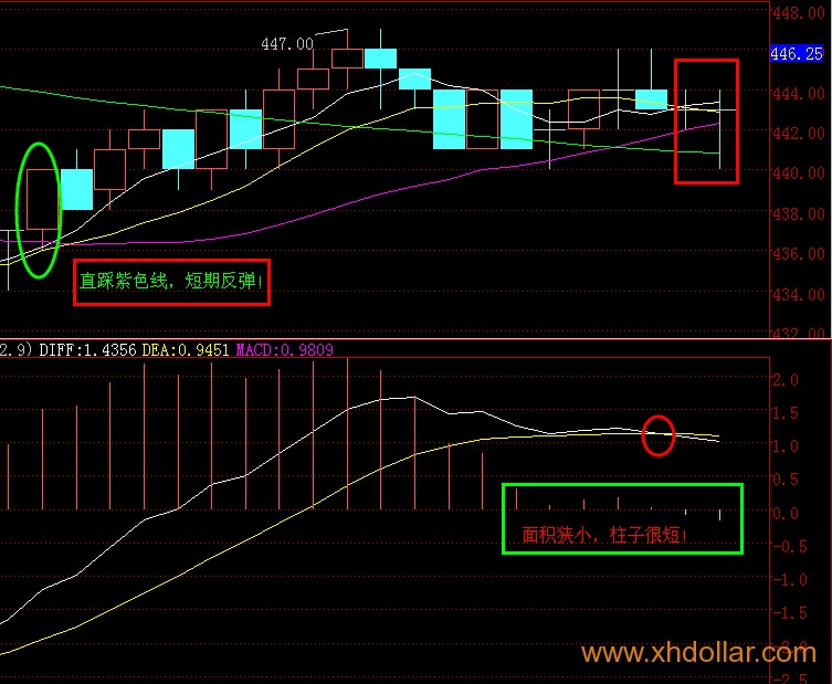 [南方大宗] 百两茶周五反弹不破均线可空