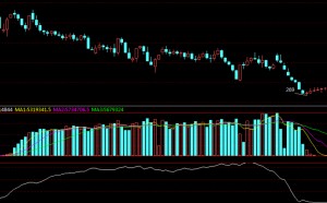 [海川新盟] 葡萄干1309合约20130306—21030806日线走势