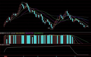 [世纪西北] 历史合约走势集锦
