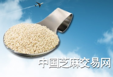 驻马店市天元芝麻批发市场有限公司