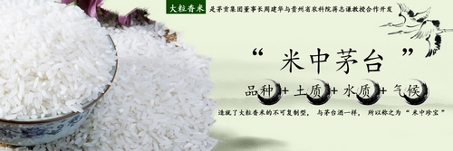 指南针帮助贵州茅贡米业搭建电商平台