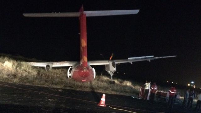 印度飞机降落时撞猪：7头野猪遇难(图)