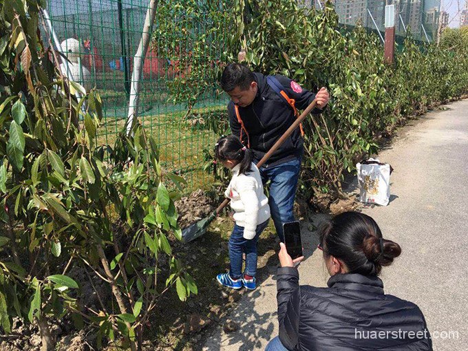 为绿色家园“打call” 苏宁举办“阳光1+1”环保公益植树活动