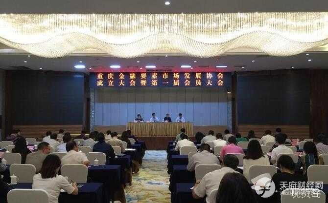 规范行业发展，防范金融风险 重庆成立金融要素市场发展协会